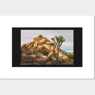 Joshua Tree Posters and Art